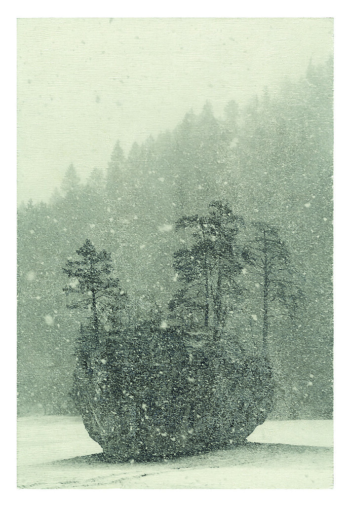 Island in the Snow